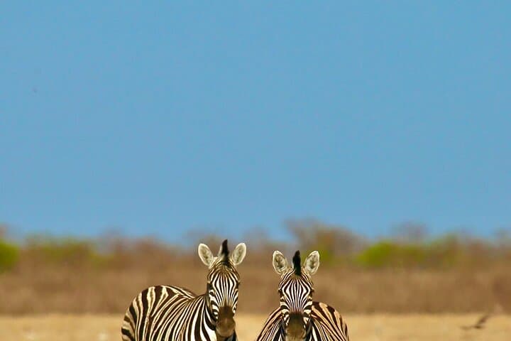 Namibia in Five Days: Sossusvlei, Swakopmund & Etosha Safari with Lodging photo 3