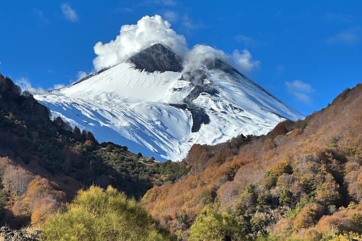 Etna Private Tour: 5-Hour Excursion to Valle del Bove, Lava Caves & Winery Tasting photo 6