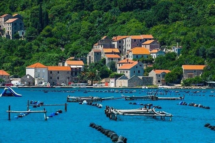 Mali Ston Oyster Farm Day Trip from Dubrovnik — Private Tasting & Coastal Views photo 2
