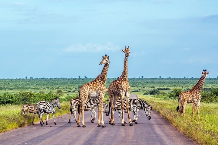 5-Day Sossusvlei, Swakopmund & Etosha Camping Adventure