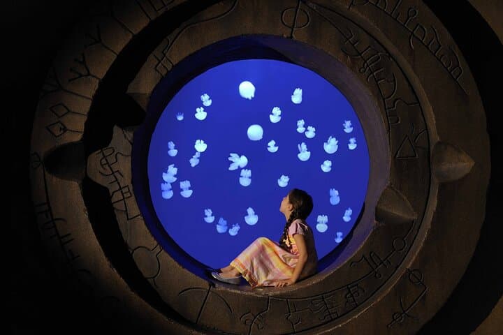 Inside Atlantis Lost Chambers Aquarium: Skip-the-Line Dubai Marine Adventure