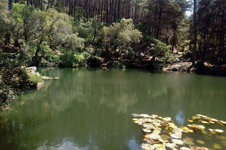 Sintra, Cabo da Roca & Cascais Private Day Tour from Lisbon: Palaces, Cliffs and the Portuguese Riviera photo 5