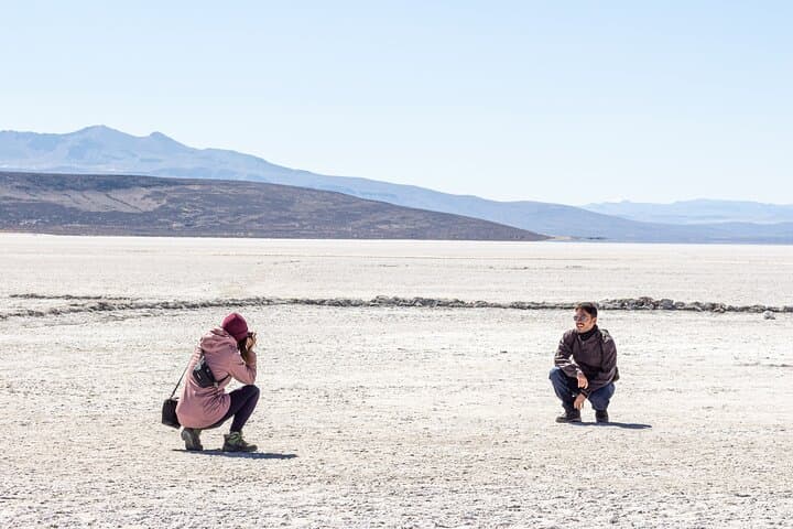 Salinas and Aguada Blanca Day Tour from Arequipa: Flamingos, Vicuñas & Volcano Views photo 2
