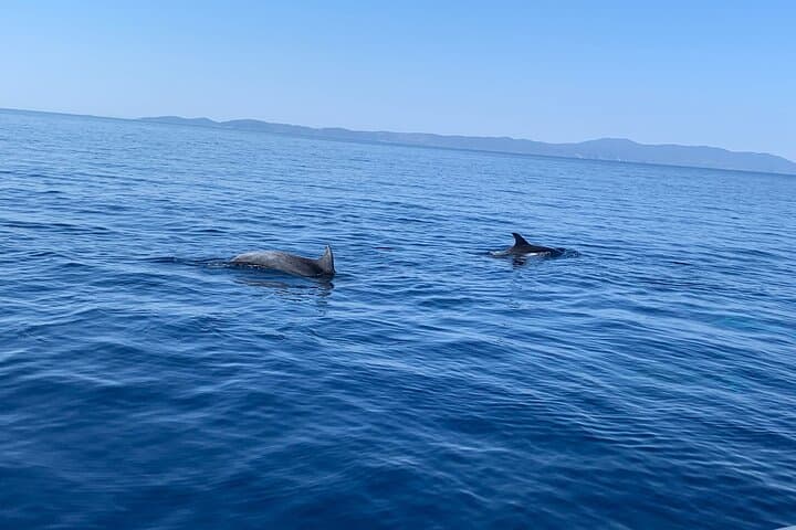 Private Speedboat Tours from Split — Custom Island Hopping to Brač, Hvar & Šolta photo 5