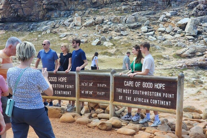 Cape Town in a Day: Table Mountain, Boulders Penguins and Cape Point Private Tour photo 6
