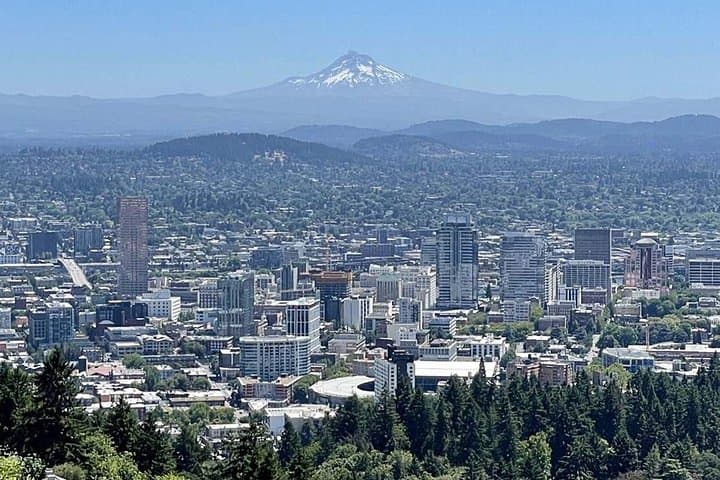 Forest Park Hiking Tour to Pittock Mansion: Wildwood Trail & Witchs Castle Hike photo 2