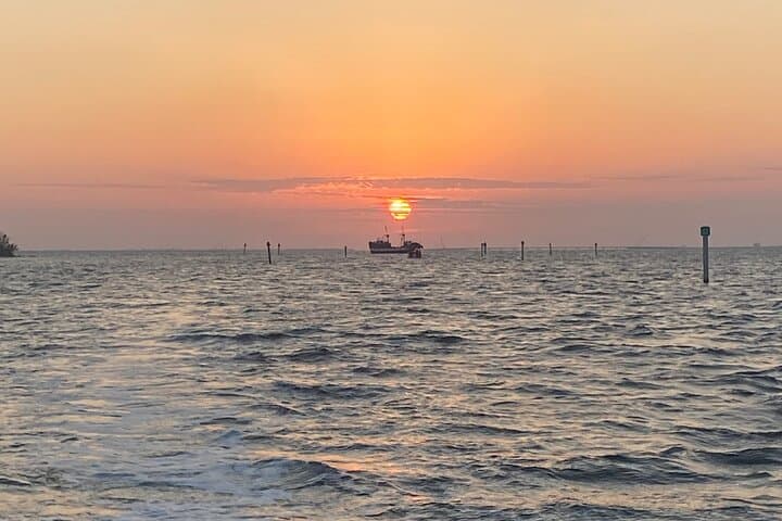 Sunset Dolphin Cruise Fort Myers Beach — Private Tiki Pontoon Experience photo 3