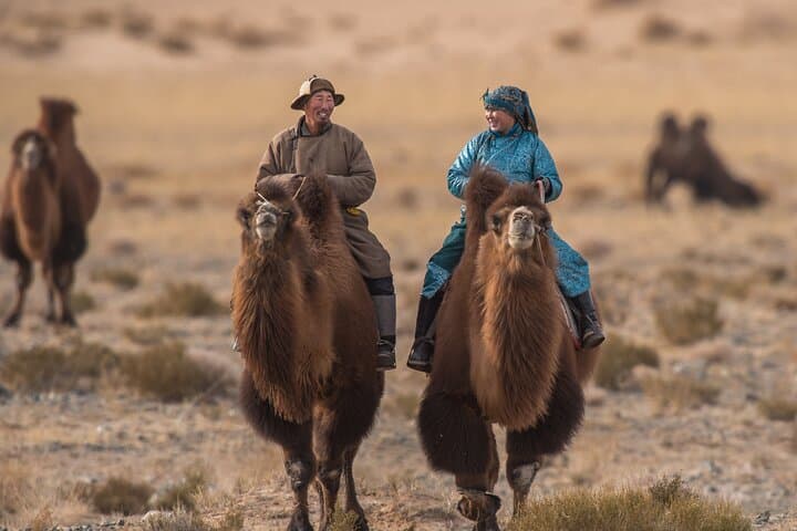 Back to the 13th Century: 5-Day Mongolia Nature, Culture & Ger-Camp Tour photo 4