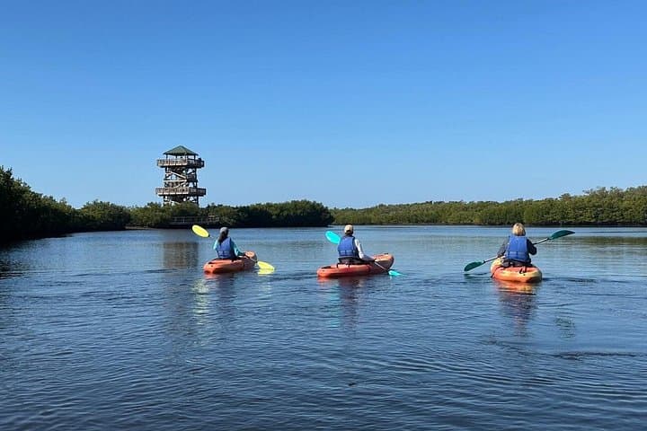 Robinson Preserve Mangrove Kayak Tour — Bradenton Paddle & Wildlife Viewing photo 2