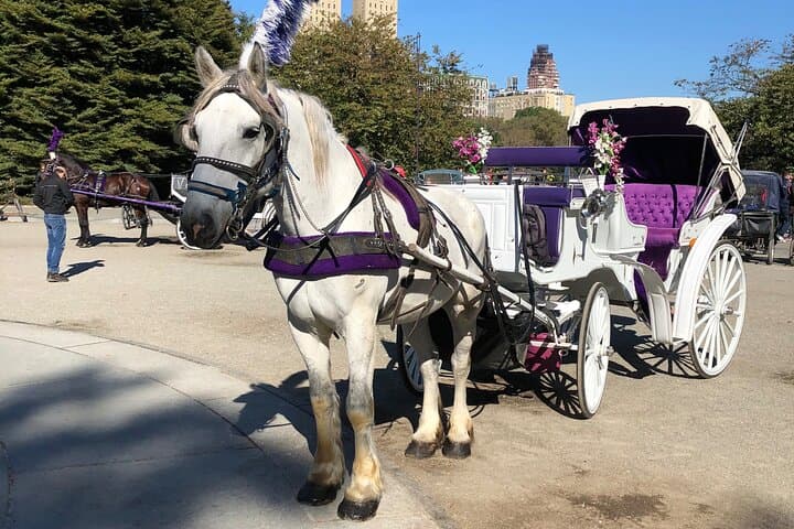 Central Park Horse Carriage Ride: 45-Minute Guided Tour from 7th Avenue photo 2