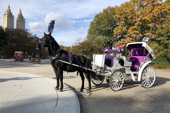 Central Park Horse Carriage Ride: 45-Minute Guided Tour from 7th Avenue
