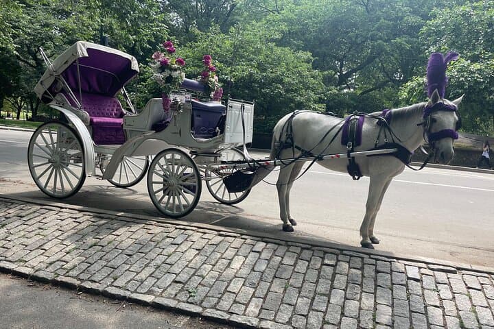 Central Park Horse Carriage Ride: 45-Minute Guided Tour from 7th Avenue photo 4