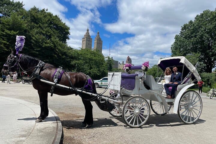 Central Park Horse Carriage Ride: 45-Minute Guided Tour from 7th Avenue photo 3