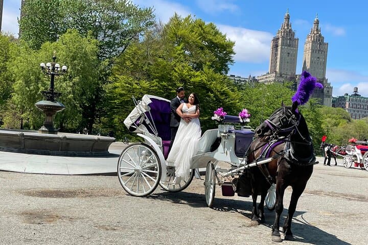 Central Park Horse Carriage Ride: 45-Minute Guided Tour from 7th Avenue photo 6
