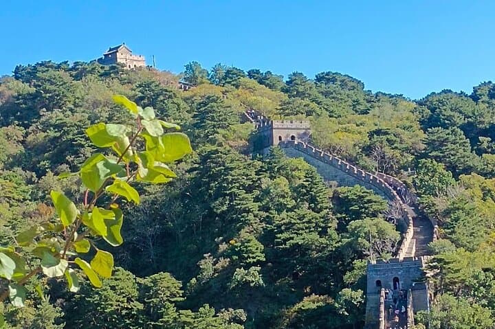 19-Day Classic China with Tibet and Yangtze River Cruise photo 4