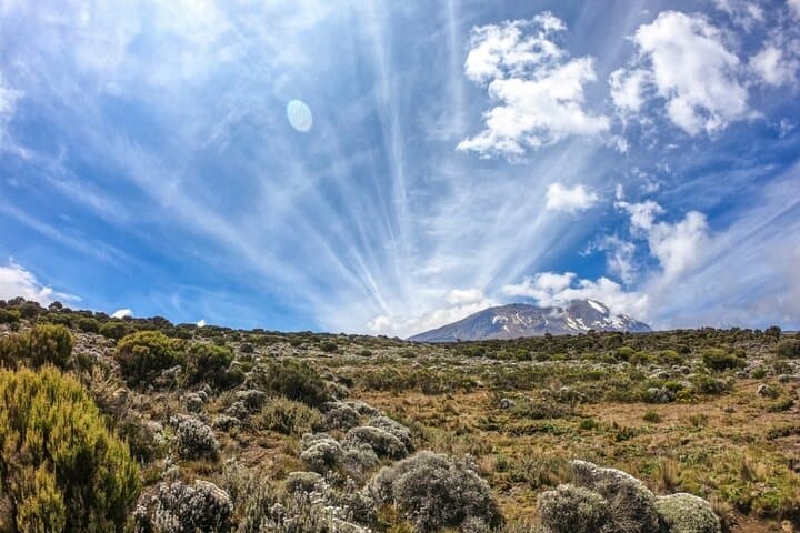 10-Day Mount Kilimanjaro Machame Route Trek: Summit Uhuru Peak with Guided Camping photo 2