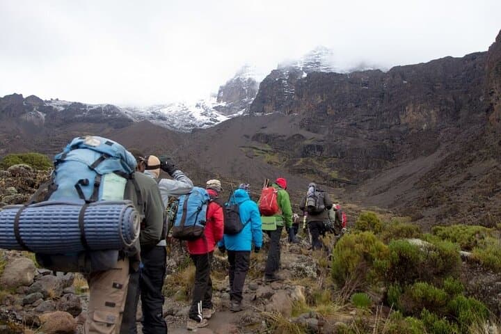 10-Day Mount Kilimanjaro Machame Route Trek: Summit Uhuru Peak with Guided Camping photo 3