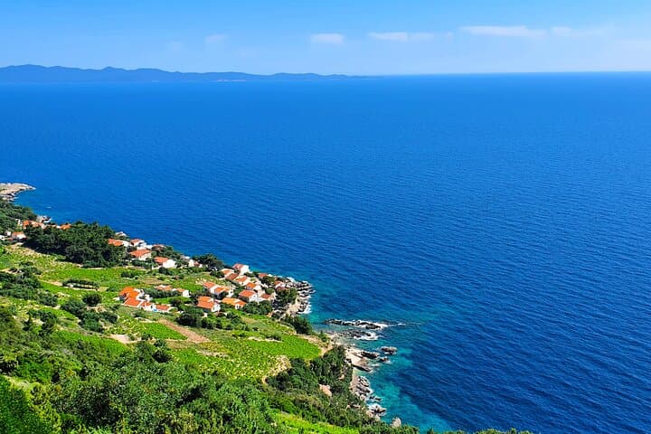 Dubrovnik to Pelješac Private Wine Tasting Tour — Oysters, Vineyards & Trstenik Bay photo 2