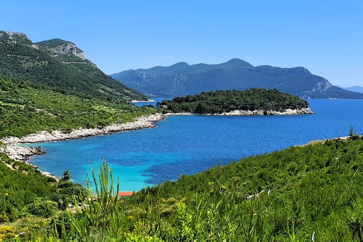 Dubrovnik to Pelješac Private Wine Tasting Tour — Oysters, Vineyards & Trstenik Bay photo 5