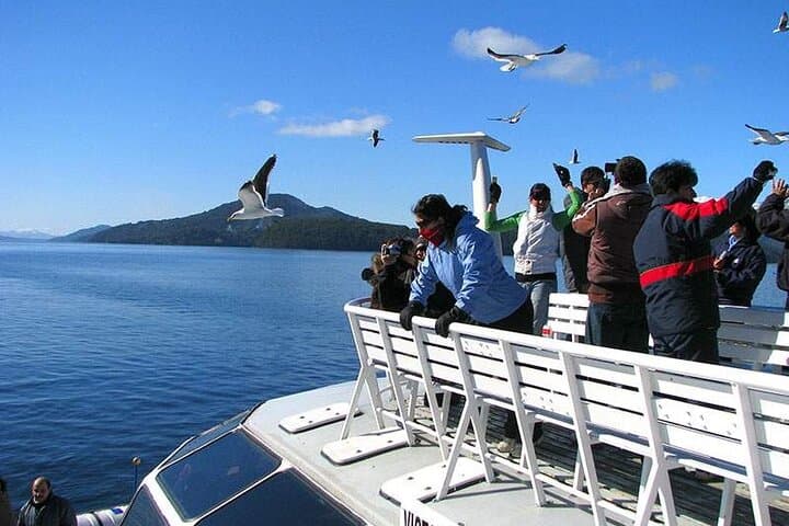 Andean Lakes Crossing: Day Cruise from Bariloche to Puerto Varas
