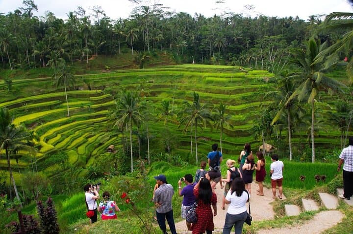 Ayung River Rafting and Kintamani Volcano View — Bali Full-Day Adventure from Ubud photo 4