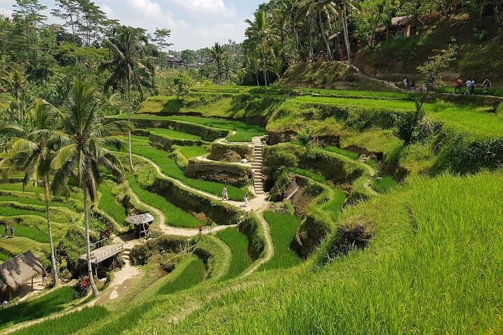 Ayung River Rafting & Mount Batur Views: Ubud Full-Day Adventure photo 6