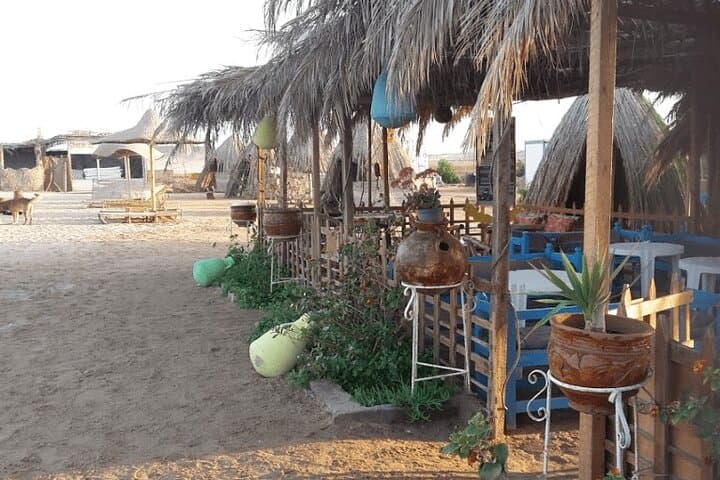 Zaina Beach Camp Day Trip: Snorkel Nemo House & Coral Reefs Near El Quseir photo 3