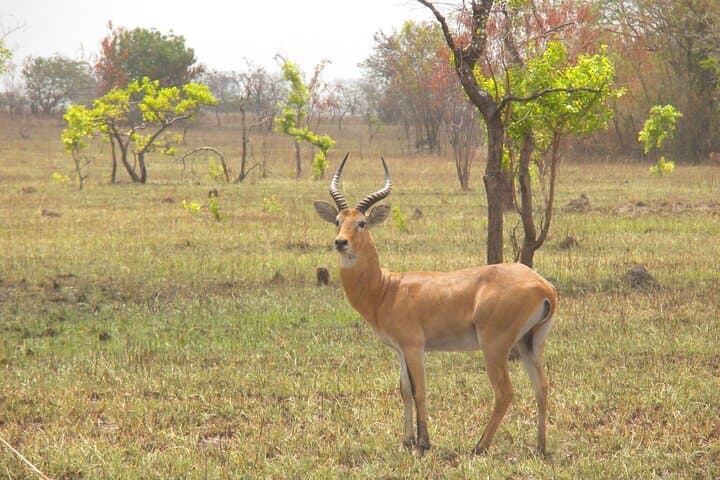Shai Hills, Oboadaka Waterfalls & Aburi Botanical Gardens Day Tour from Accra photo 2