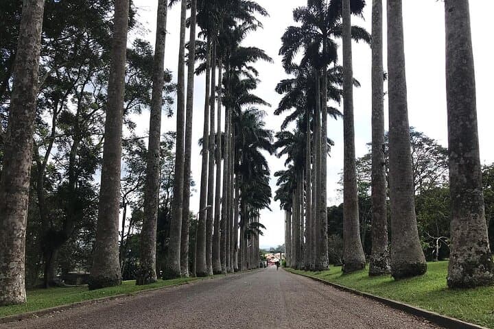Shai Hills, Oboadaka Waterfalls & Aburi Botanical Gardens Day Tour from Accra photo 6