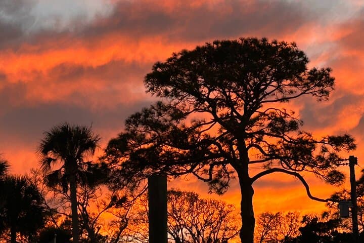 Sunset Boat Tour in St. Augustine: Evening Cruise Along Historic Waterways photo 3