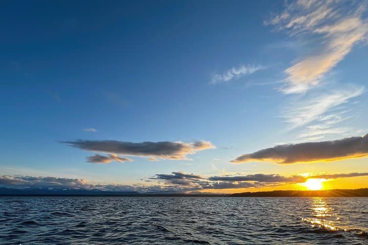 Campbell River Sunset Whale Watching Tour: 2-Hour Discovery Islands Wildlife Cruise photo 3
