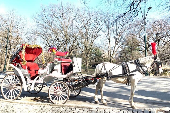 Central Park Horse Carriage Ride: 45-Minute Guided Tour from 7th Avenue photo 5