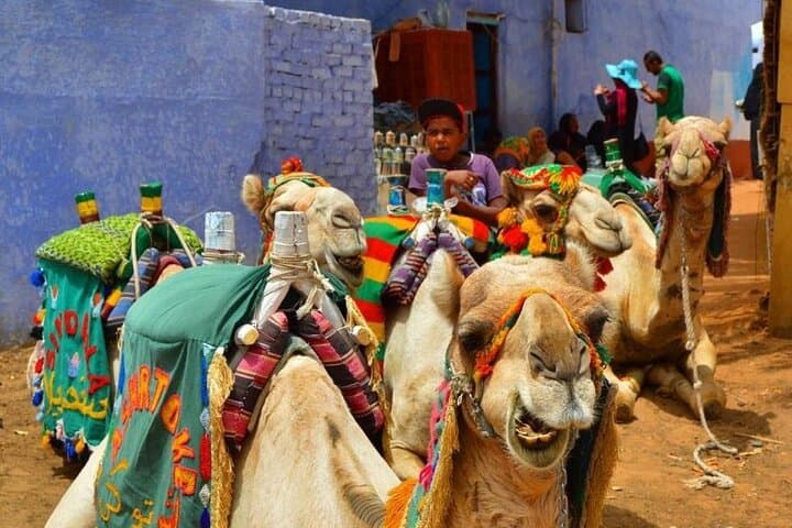 Nubian Village Camel Tour from Aswan — 2-Hour Cultural Ride photo 2
