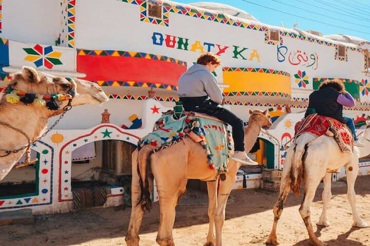 Nubian Village Camel Tour from Aswan — 2-Hour Cultural Ride photo 4