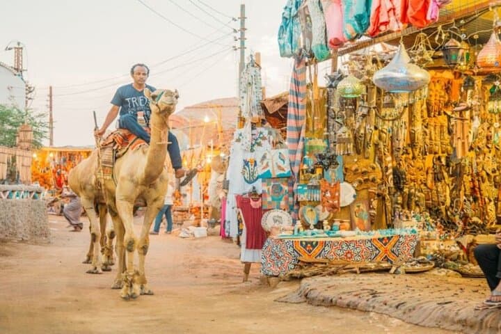 Nubian Village Camel Tour from Aswan — 2-Hour Cultural Ride photo 6