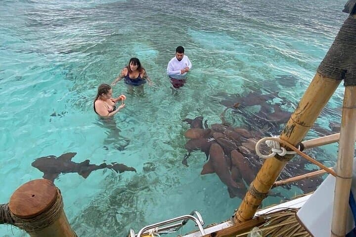 Private Tiki Boat Adventure in Caye Caulker — Snorkel, Sharks & Sunset Cruise photo 4