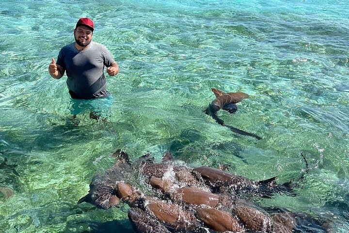 Caye Caulker Shark & Ray Swim with Lazy Lizard Sunset Cruise
