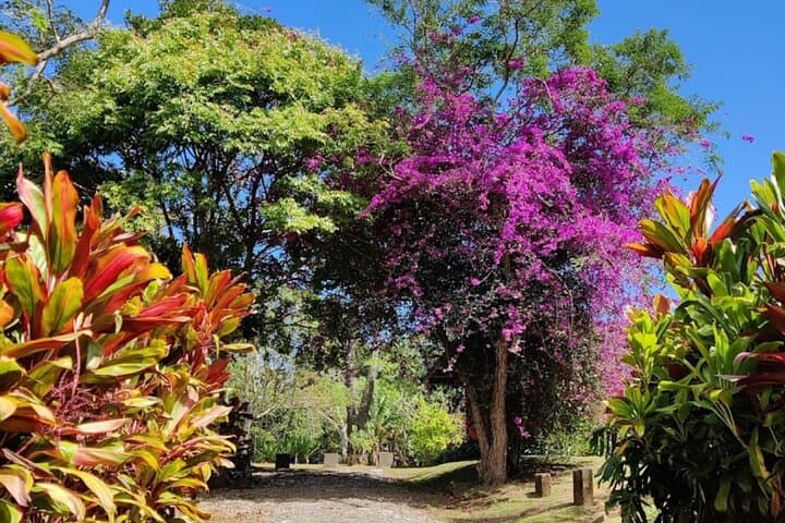 Morning at the Viking’s Farm: Heredia Breakfast & Nature Walk photo 4