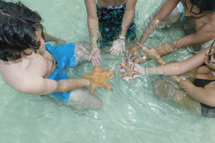 Private Snorkel Trip to Stingray City, Barrier Reef & Starfish Point — Grand Cayman photo 2