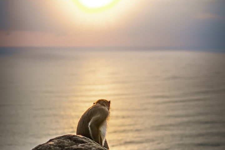 Chasing Sunrise in Da Nang: Beach Drive, Mountain Sunrise & Local Breakfast photo 4
