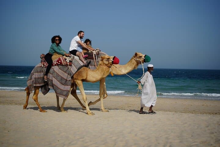 Sealine Beach Camel Ride & Quad Bike Experience — Doha Desert Adventure photo 6