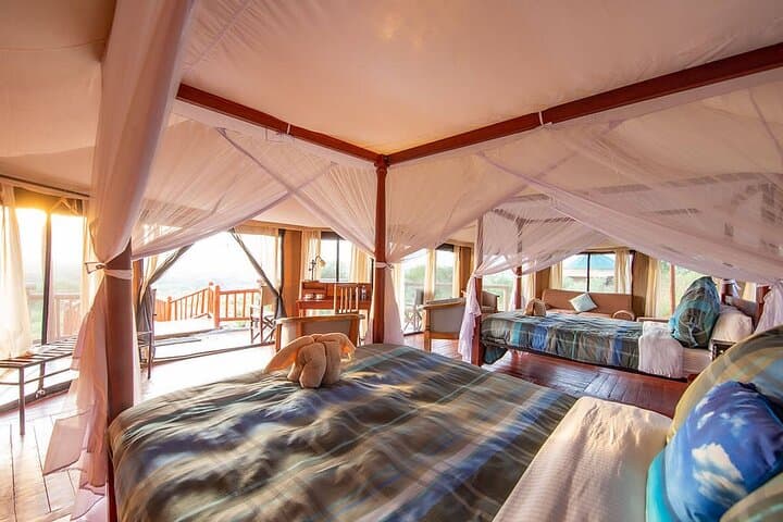 12-Day Tanzania Luxury Safari: Serengeti, Ngorongoro & Zanzibar Beach Escape