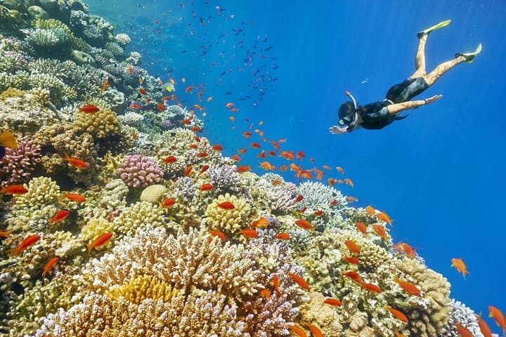Full-Day Snorkeling Adventure to Hamata Islands from Marsa Alam photo 2
