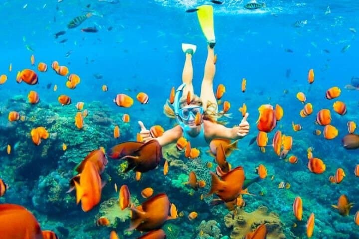 Full-Day Snorkeling Adventure to Hamata Islands from Marsa Alam photo 3
