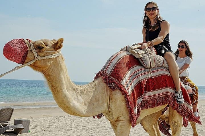 Sealine Desert Safari: Half-Day Dune Bashing, Camel Ride & Inland Sea Views photo 2