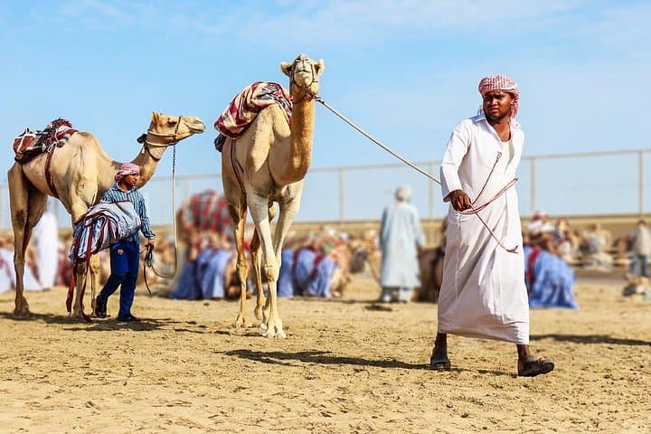 Camel Racing & Al Samriya Estate Tour: Sheikh Faisal Museum, Leaning Mosque & Al Shahaniya Raceway photo 3