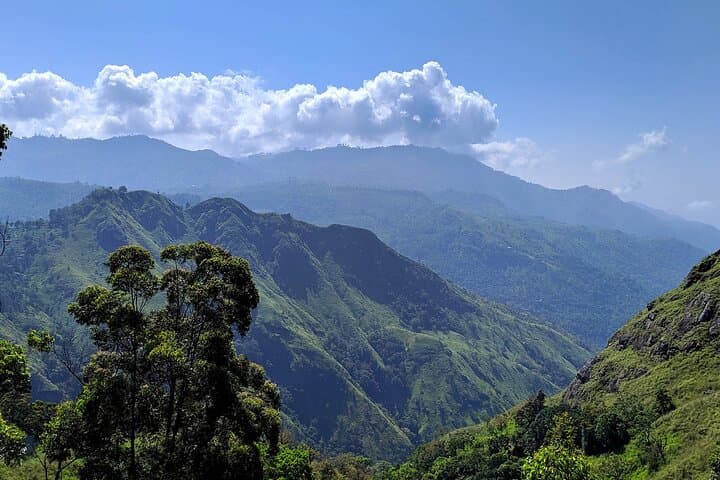 Private Sri Lanka Multi-Day Car Tour with English Driver-Guide — Custom 2–10 Day Itineraries photo 4