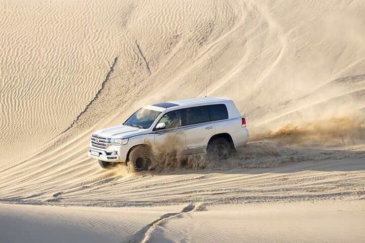 Full-Day Desert Safari & Beach Camp Buffet in Qatar photo 6