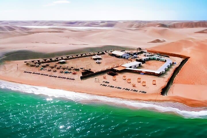 Full-Day Desert Safari & Beach Camp Buffet in Qatar photo 4