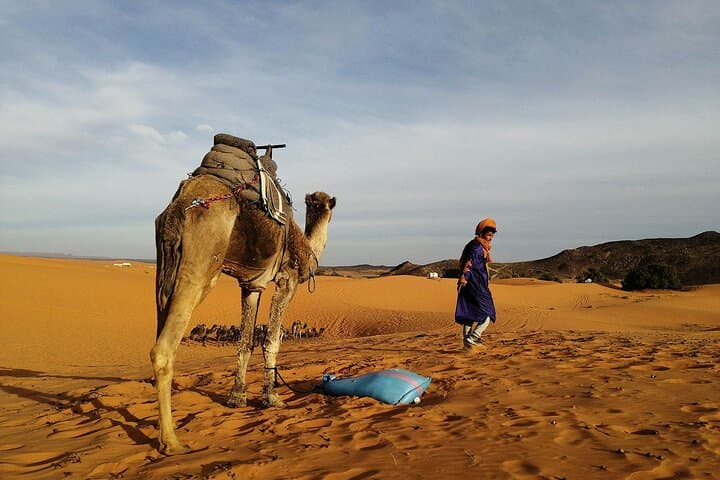 Fez to Sahara: 4-Day Medinas, Dunes & Ait Ben Haddou Overland Tour photo 3